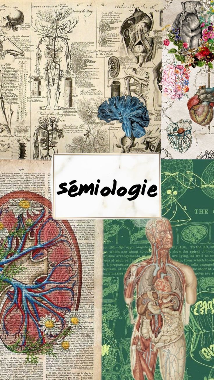 semio
